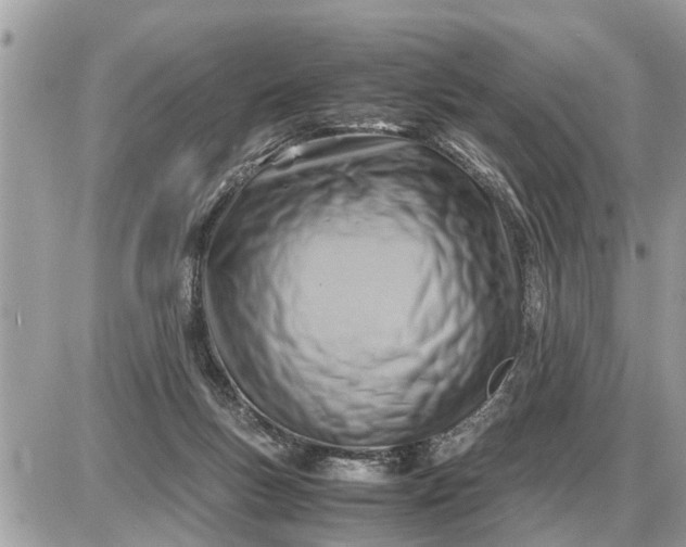 X0000087400167200705042044