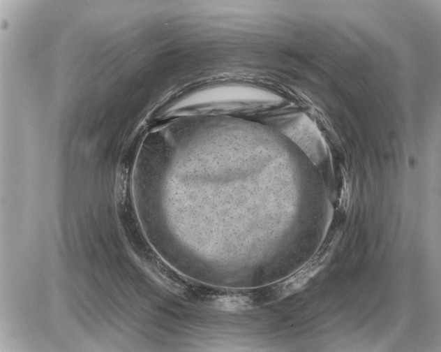 X0000087400168200705042044