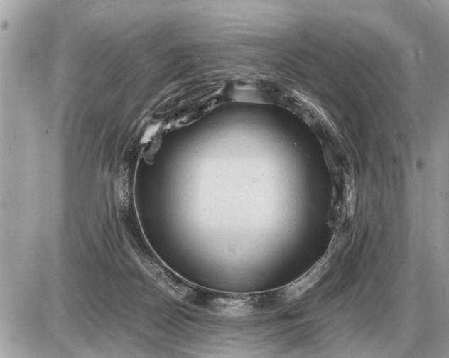 X0000087400170200705042044