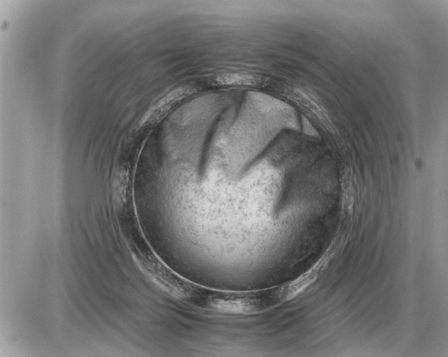 X0000087400171200705042044