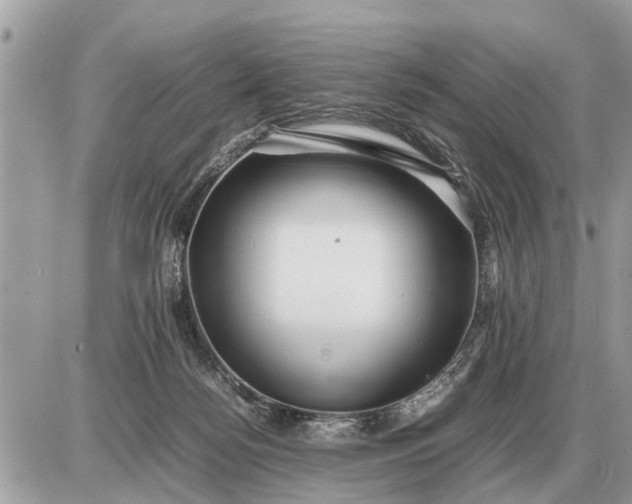 X0000087400172200705042044