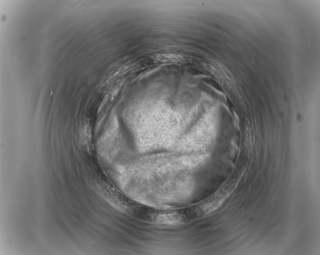 X0000087400173200705042044