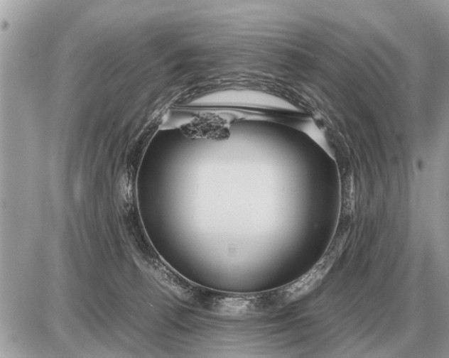 X0000087400176200705042044