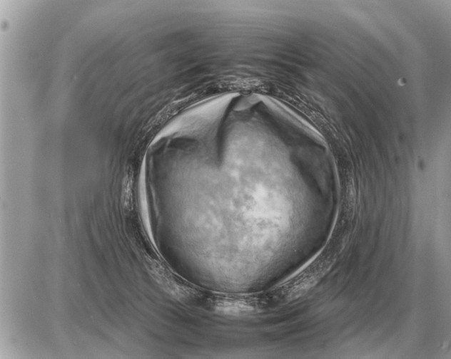 X0000087400177200705042044