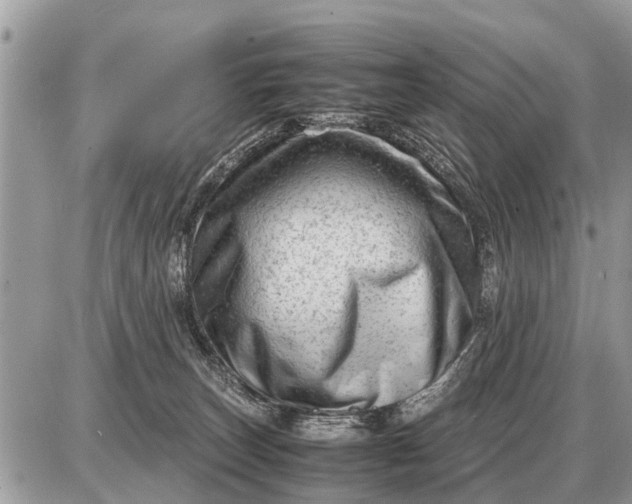 X0000087400179200705042044