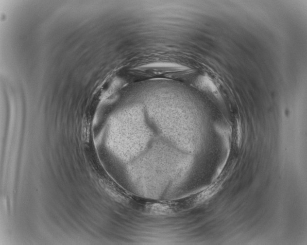 X0000087400180200705042044