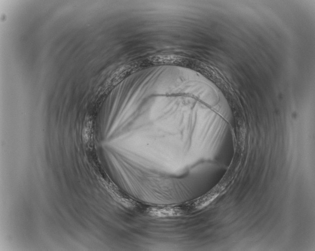 X0000087400181200705042044