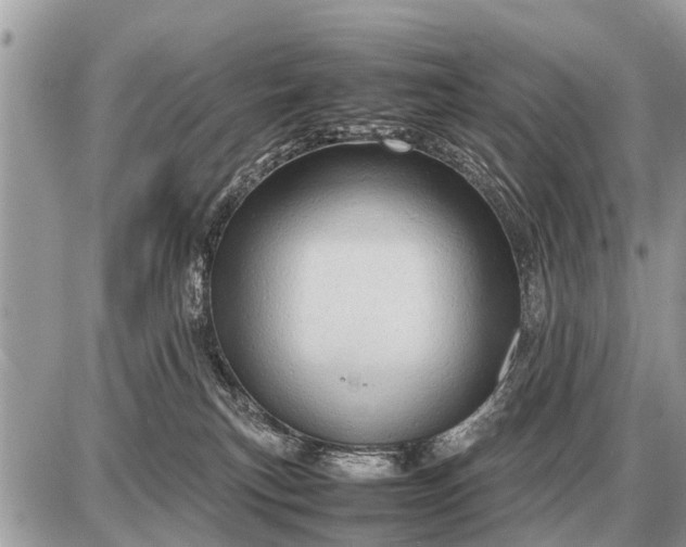 X0000087400183200705042044