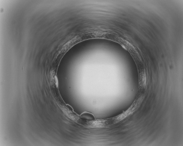 X0000087400184200705042044