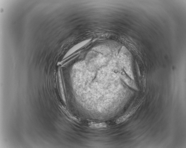 X0000087400185200705042044