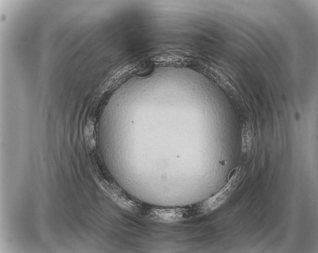 X0000087400187200705042045