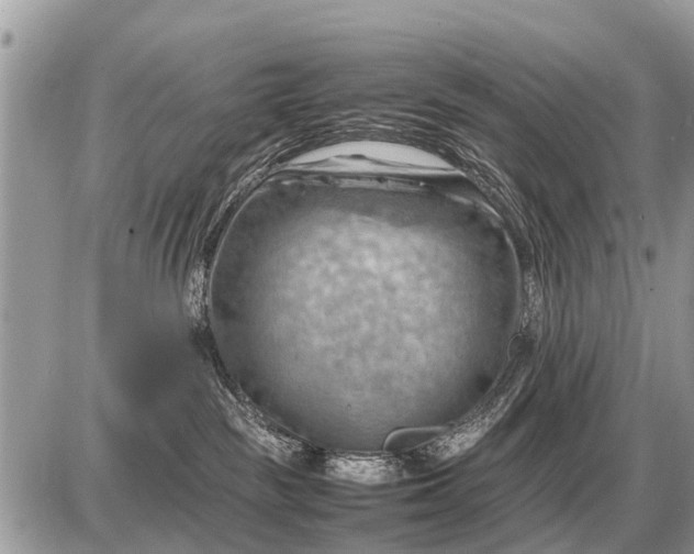 X0000087400189200705042045