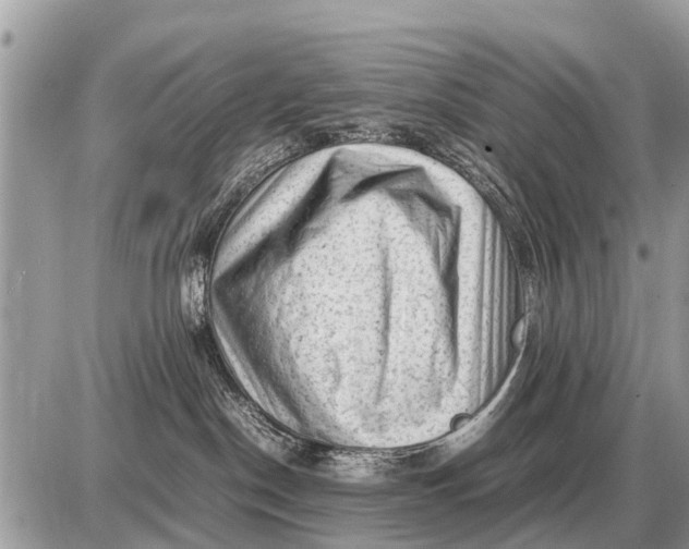 X0000087400190200705042045