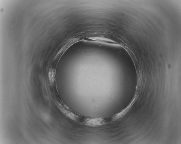 X0000087400191200705042045