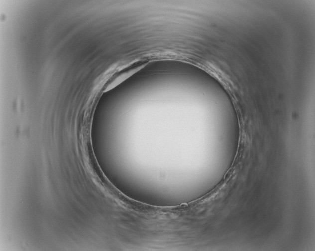 X0000087400193200705042044