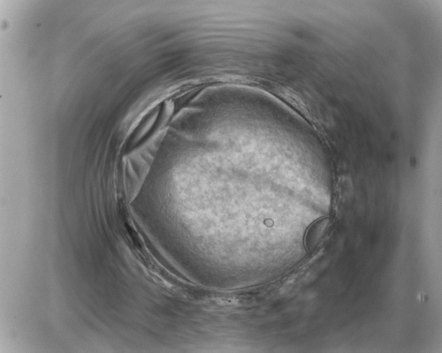 X0000087400194200705042044