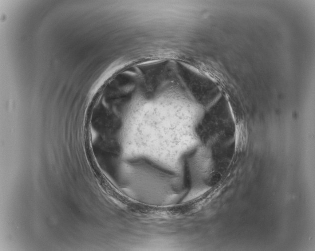 X0000087400195200705042044