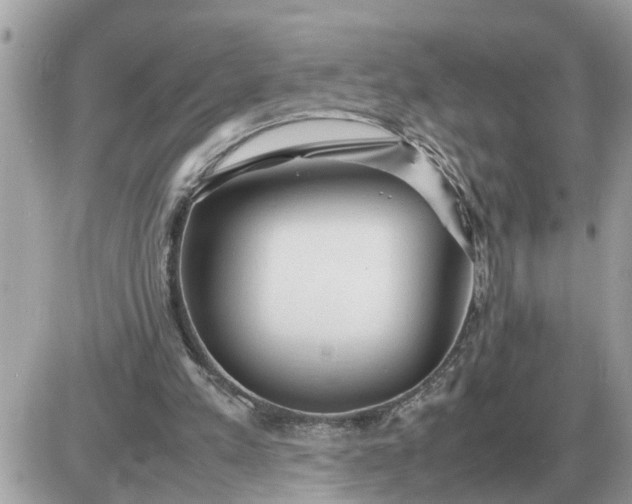 X0000087400197200705042044