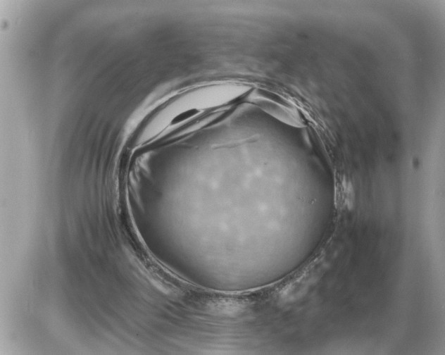 X0000087400198200705042044