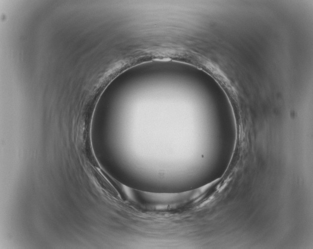 X0000087400201200705042044