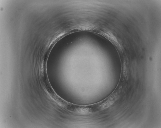 X0000087400202200705042044