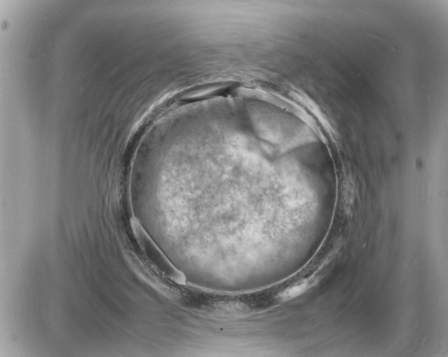 X0000087400203200705042044