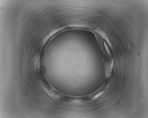 X0000087400204200705042044