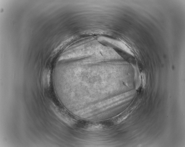 X0000087400206200705042044