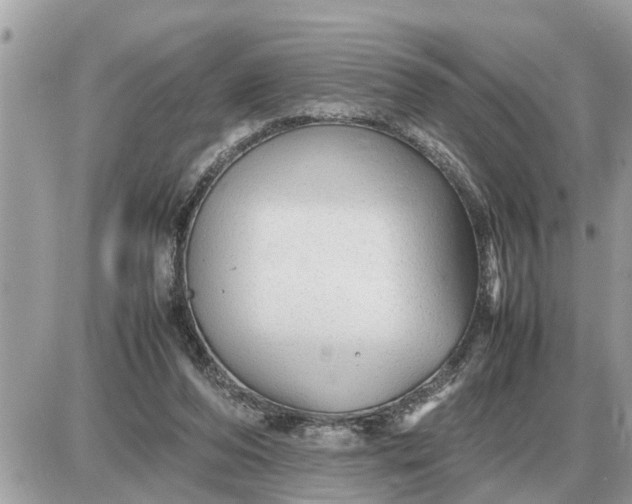 X0000087400208200705042044