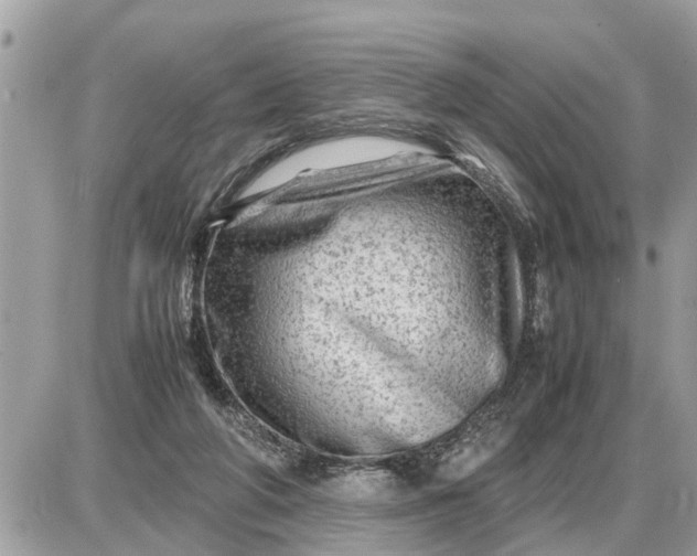 X0000087400210200705042044