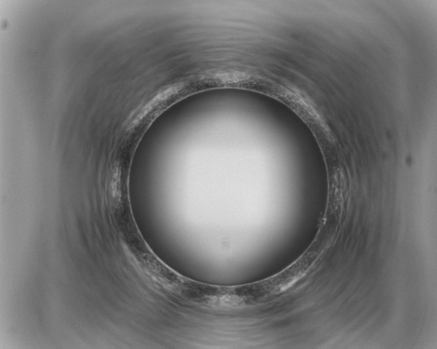 X0000087400212200705042044