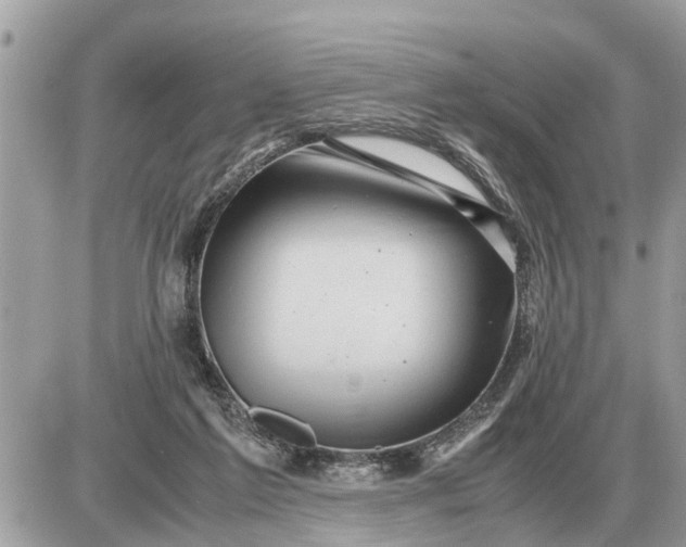 X0000087400213200705042044