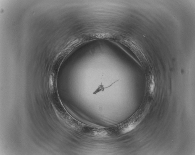 X0000087400214200705042043