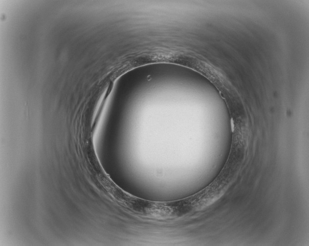 X0000087400215200705042043