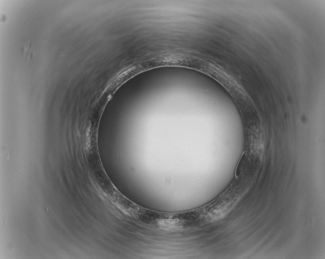 X0000087400216200705042043