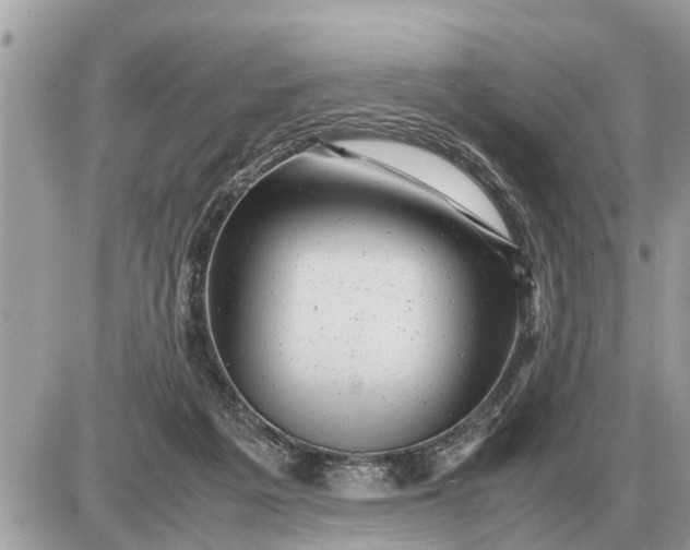 X0000087400217200705042043