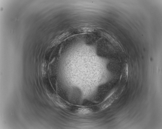 X0000087400218200705042043