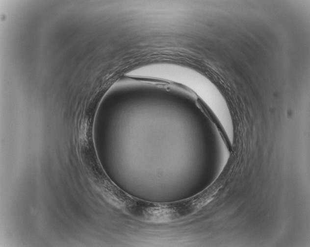 X0000087400219200705042043