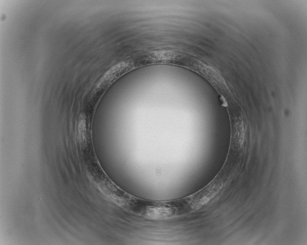 X0000087400220200705042043