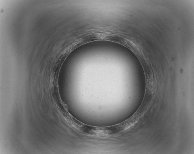 X0000087400221200705042043