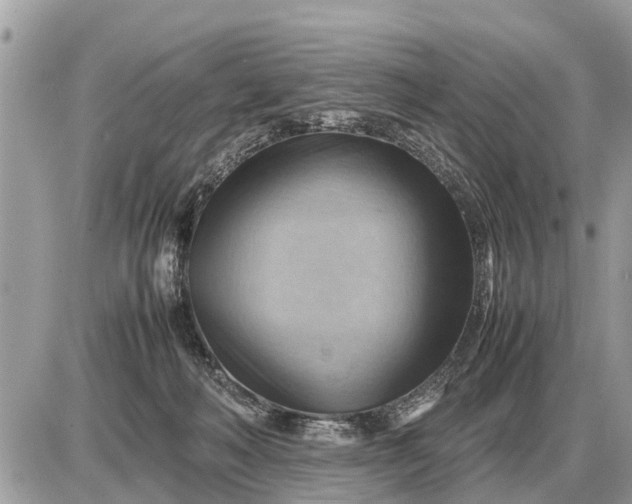 X0000087400222200705042043