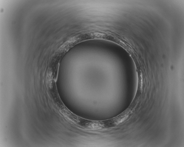 X0000087400223200705042043