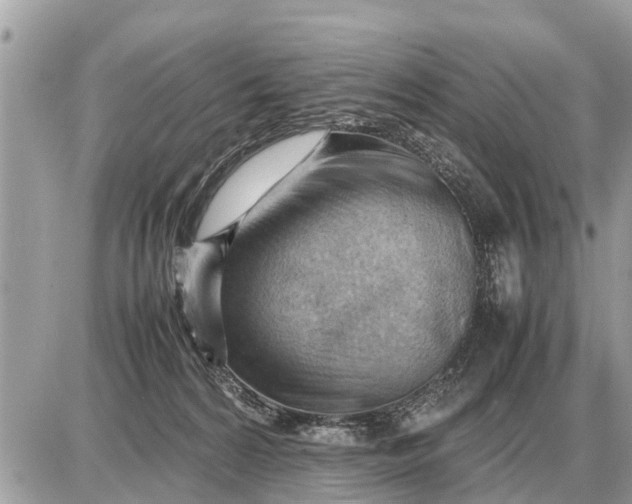 X0000087400224200705042043