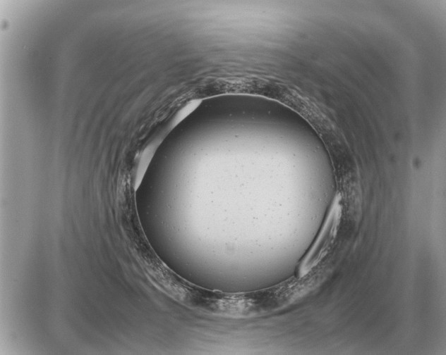 X0000087400225200705042043