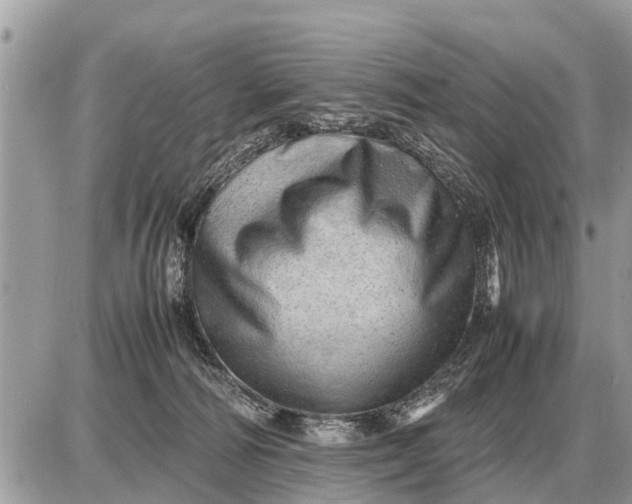 X0000087400226200705042043