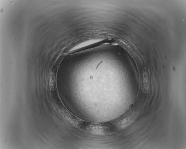 X0000087400228200705042043