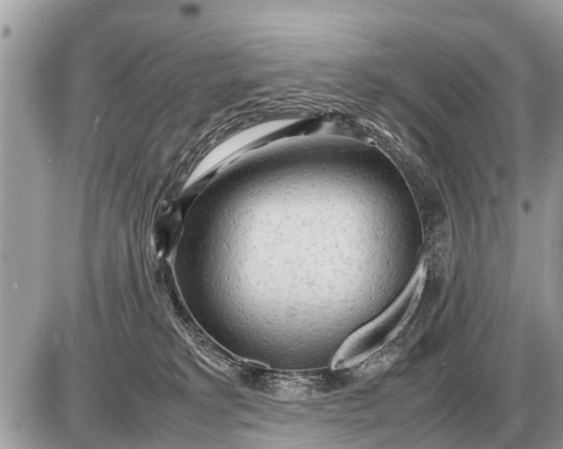 X0000087400229200705042043