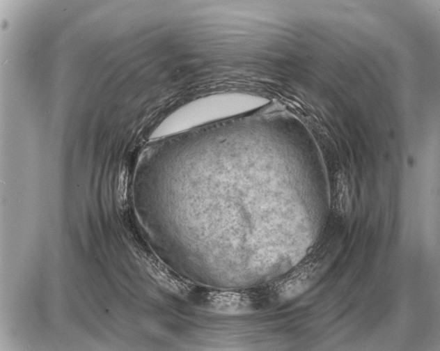 X0000087400230200705042043