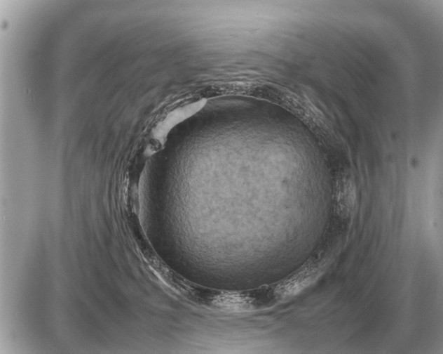 X0000087400231200705042043