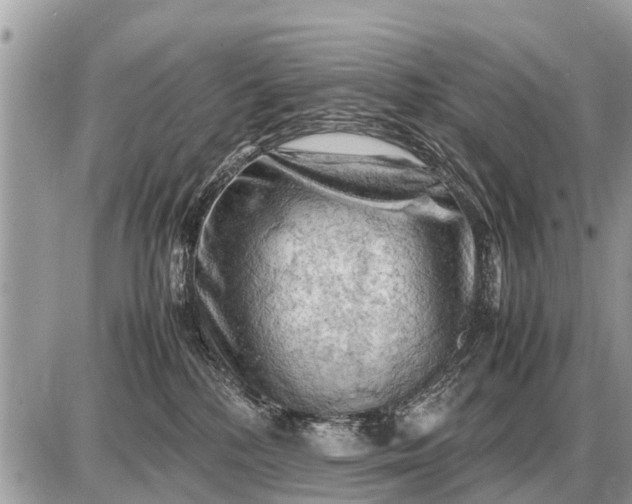 X0000087400232200705042043